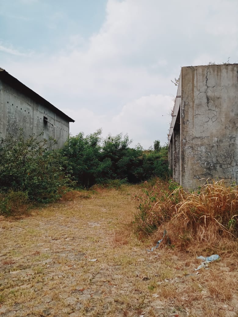 WhatsApp Image 2022-09-30 at 11.14.08